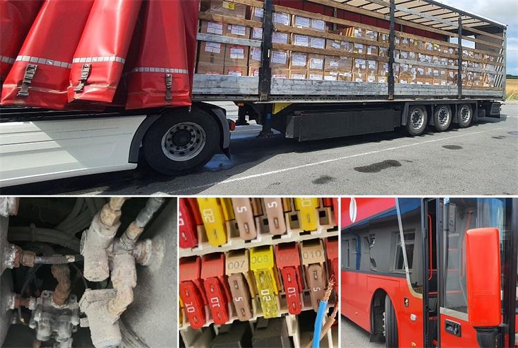 Slika /slike/foto ICPC/foto ICPC 2025/ICPC T35_25/nsl ICPC T35 3-9_25.jpg